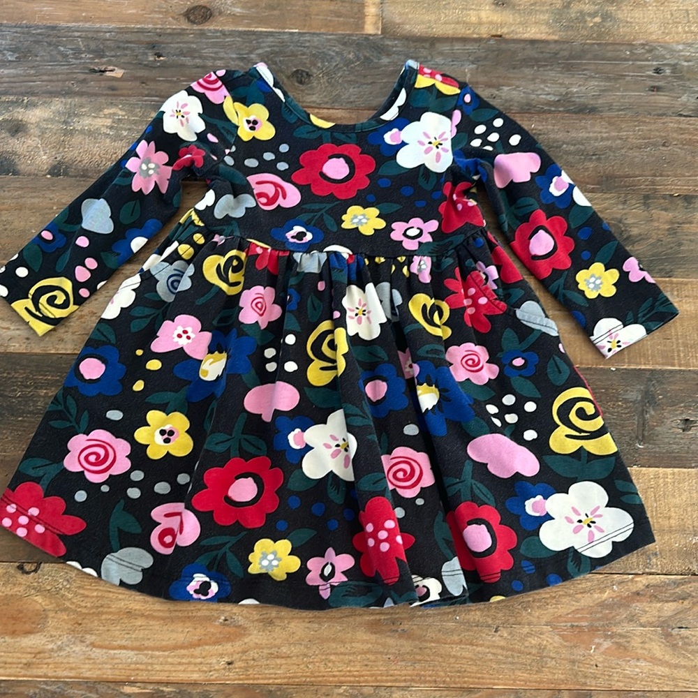 Hanna Andersson 2T Dress
